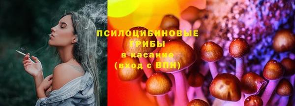 ПСИЛОЦИБИНОВЫЕ ГРИБЫ Балабаново