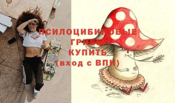 ECSTASY Балахна