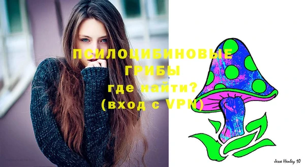 ПСИЛОЦИБИНОВЫЕ ГРИБЫ Балабаново