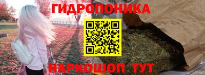 дмт Пушкино