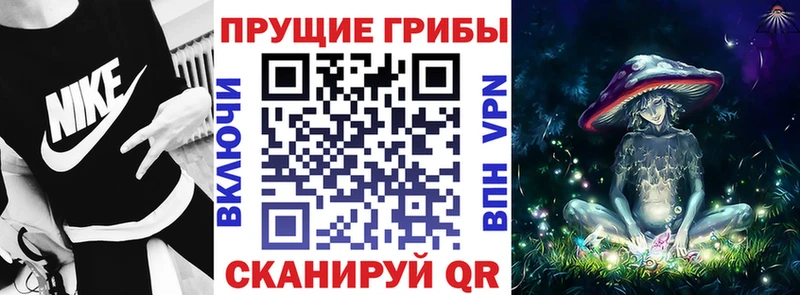 hydra ссылка  Барабинск  Псилоцибиновые грибы мухоморы  купить  сайты 